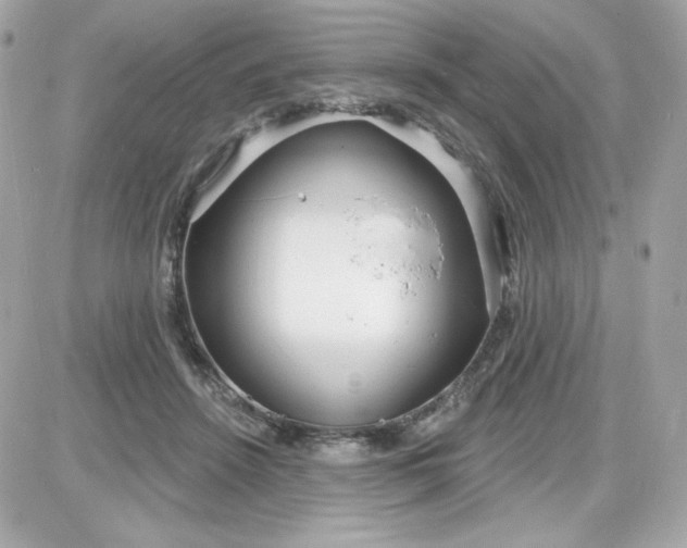 X0000087510456200705111945