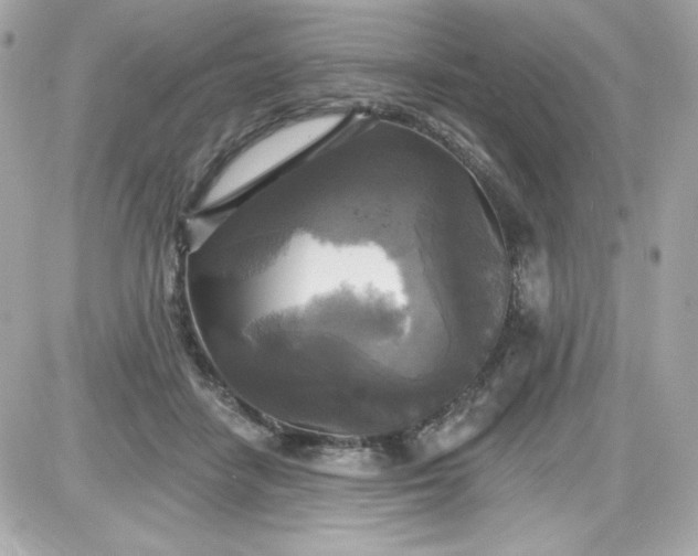 X0000087510458200705111945