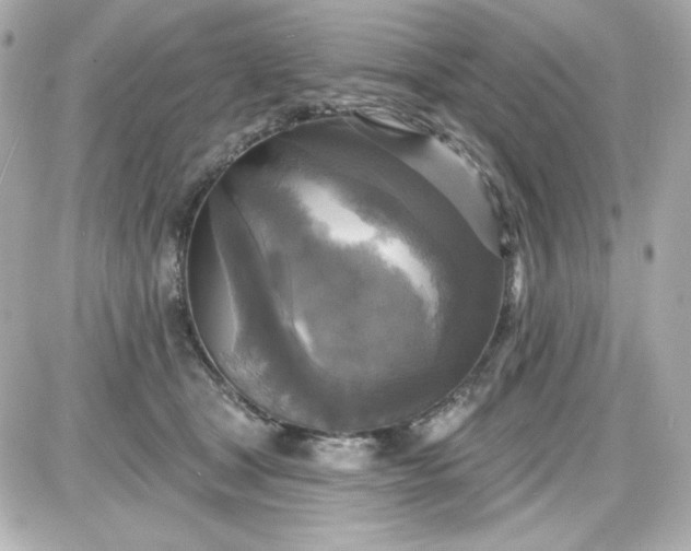 X0000087510465200705111945