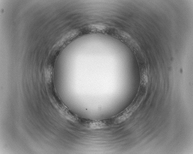 X0000087510468200705111946