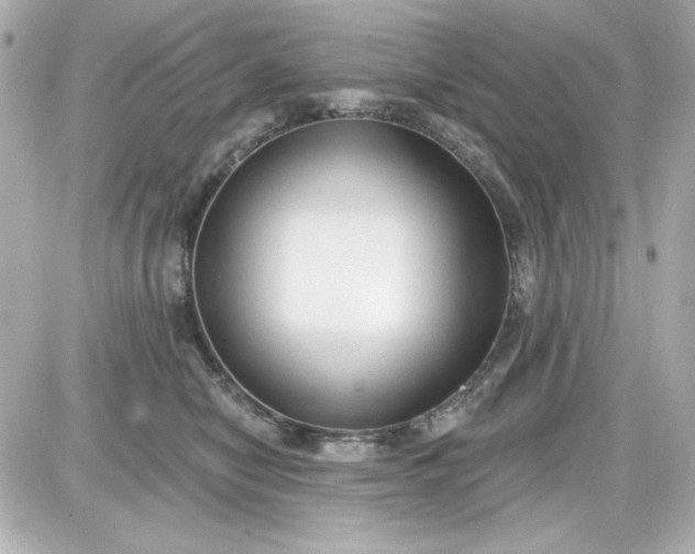 X0000087510470200705111946