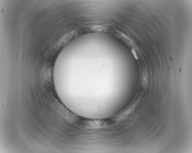 X0000087510473200705111946