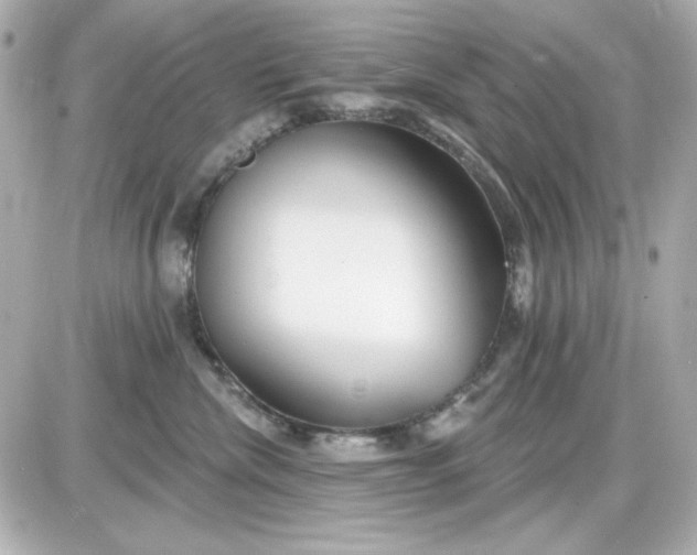 X0000087510476200705111946