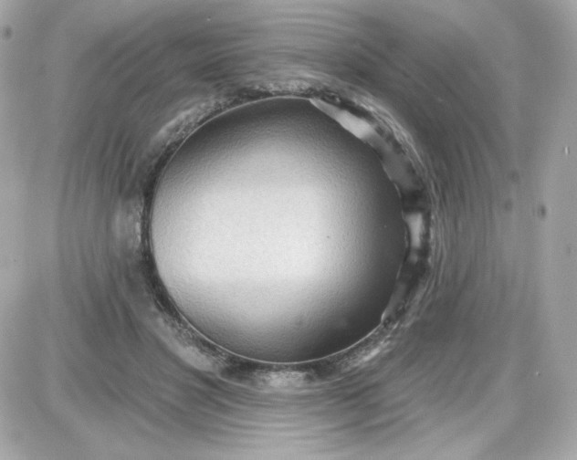 X0000087510501200705111945