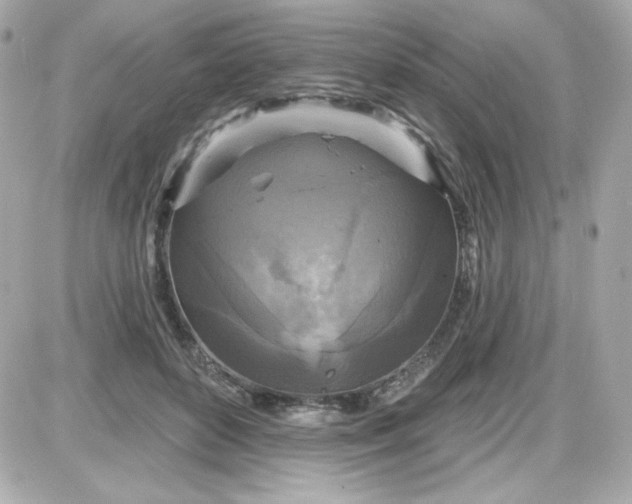 X0000087510504200705111945