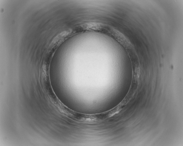 X0000087510506200705111945