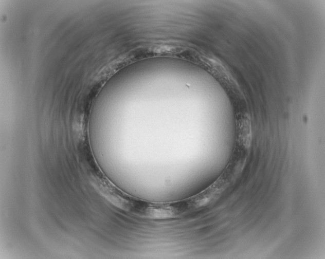 X0000087510510200705111944