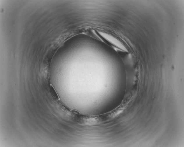 X0000087510513200705111944