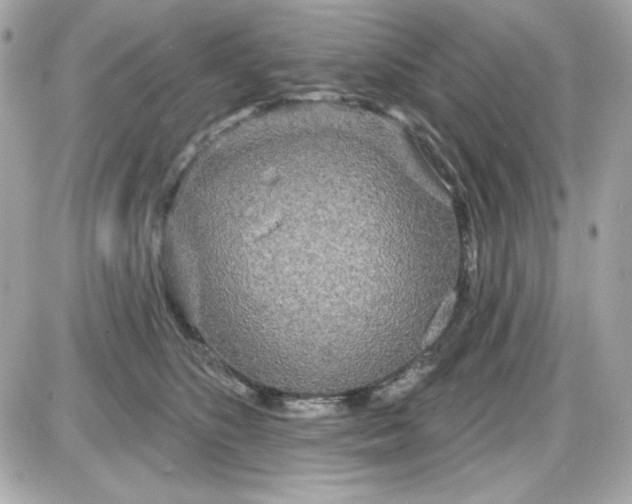 X0000087510516200705111944