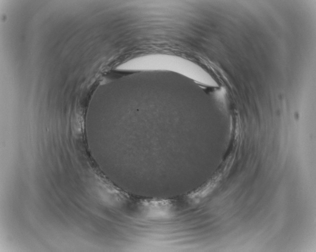 X0000087510517200705111944