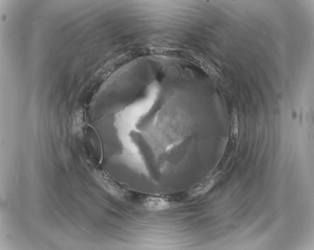 X0000087510519200705111944