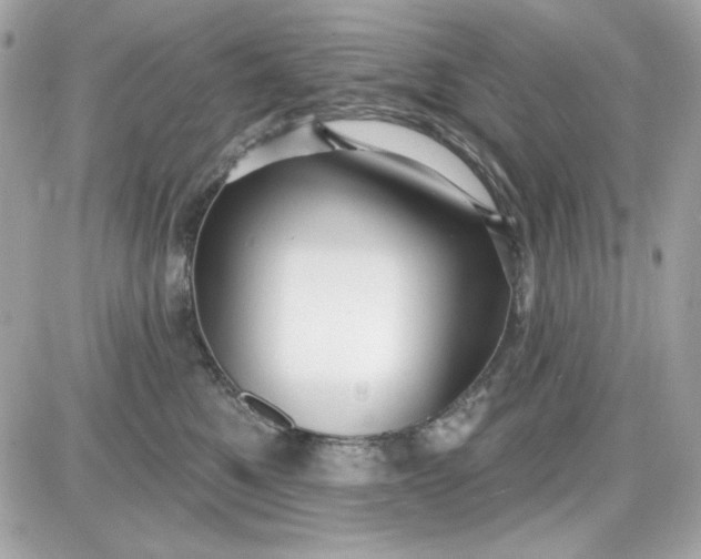 X0000087510521200705111944