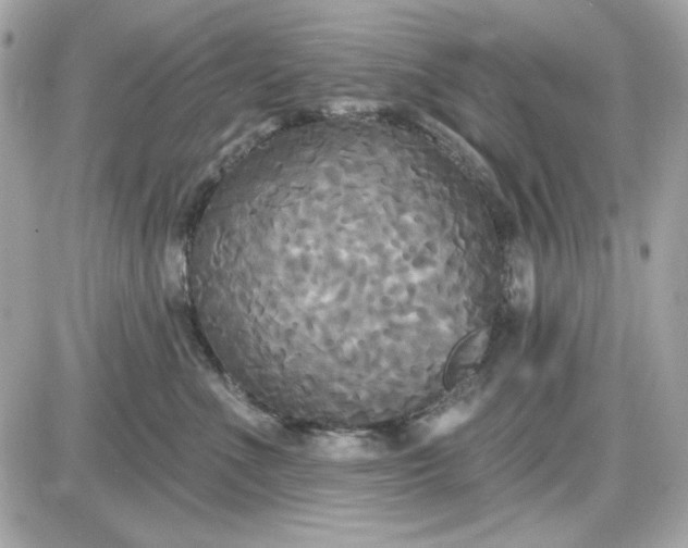 X0000087510523200705111944
