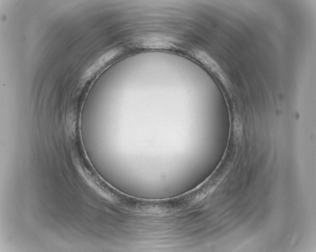 X0000087510533200705111943
