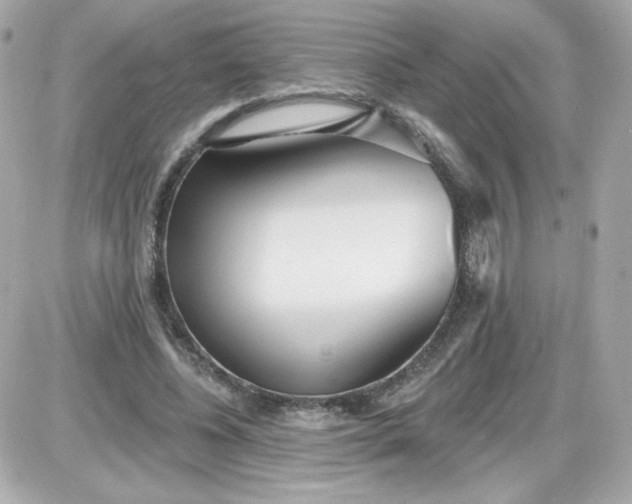 X0000087510540200705111944