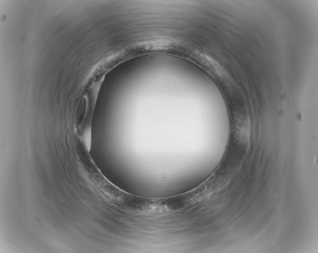 X0000087510543200705111944