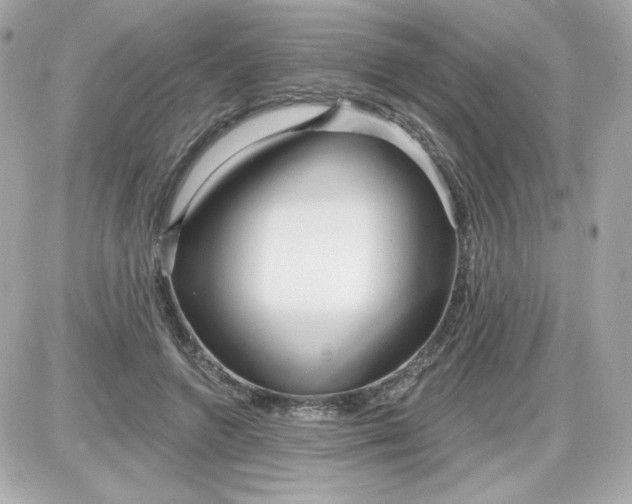 X0000087510546200705111944