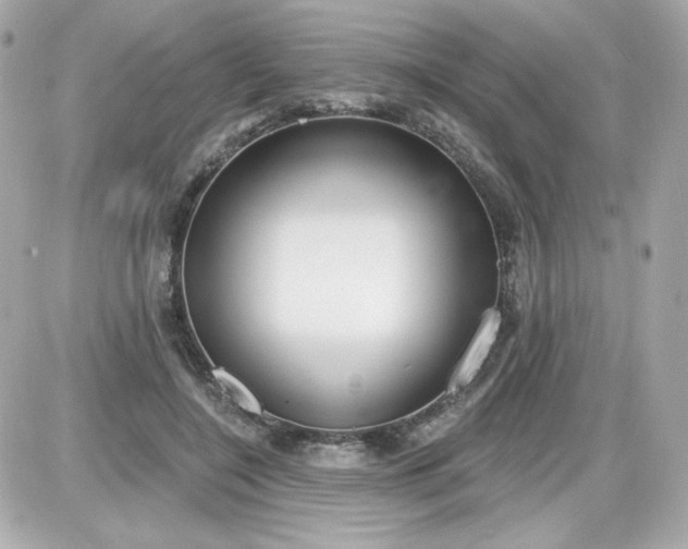 X0000087510548200705111944