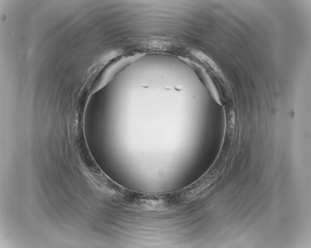 X0000087510552200705111944