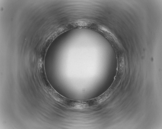 X0000087510555200705111944