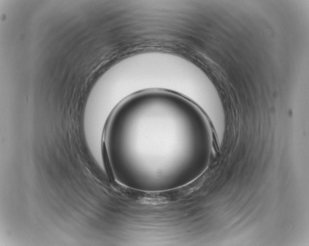 X0000087510556200705111944