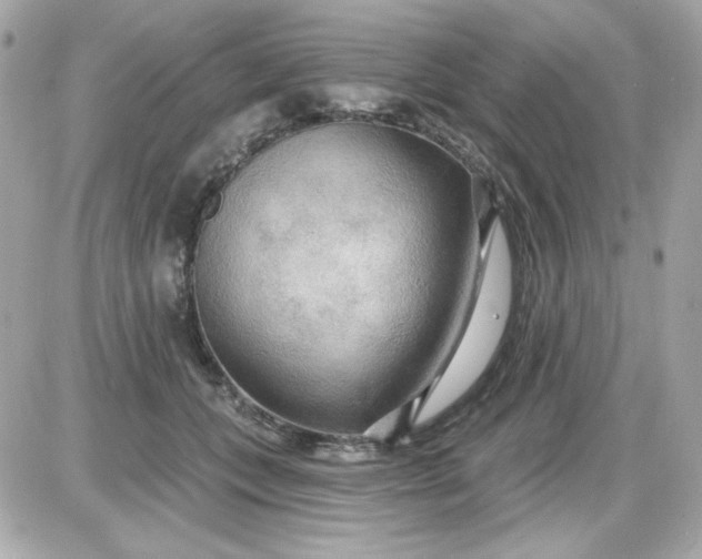 X0000087510559200705111944