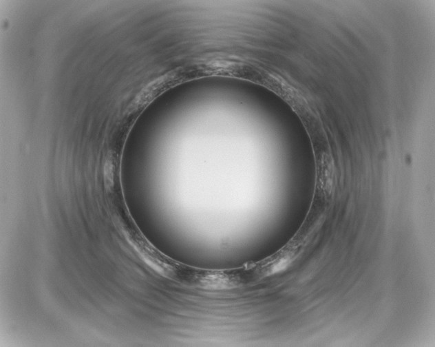 X0000087510562200705111944