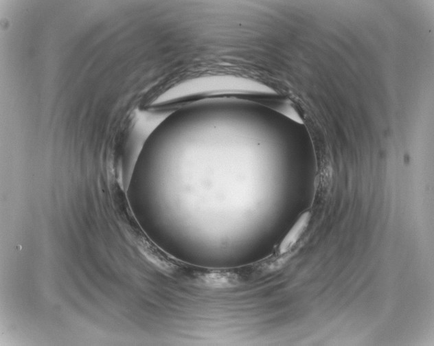 X0000087510566200705111944