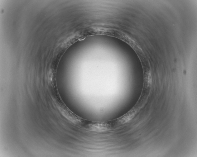 X0000087510567200705111944