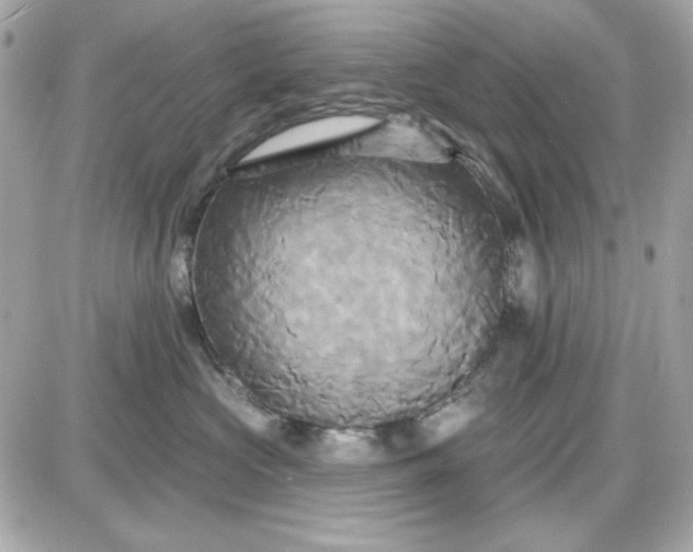 X0000087510573200705111944