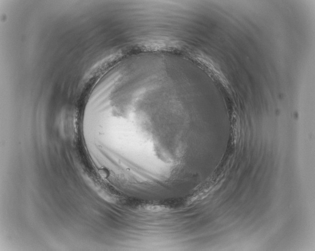 X0000087510590200705111943
