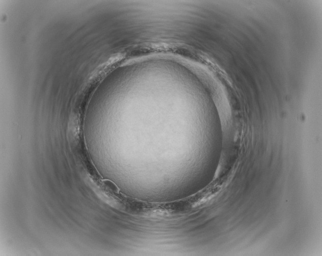 X0000087510593200705111943