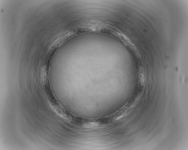 X0000087510594200705111943