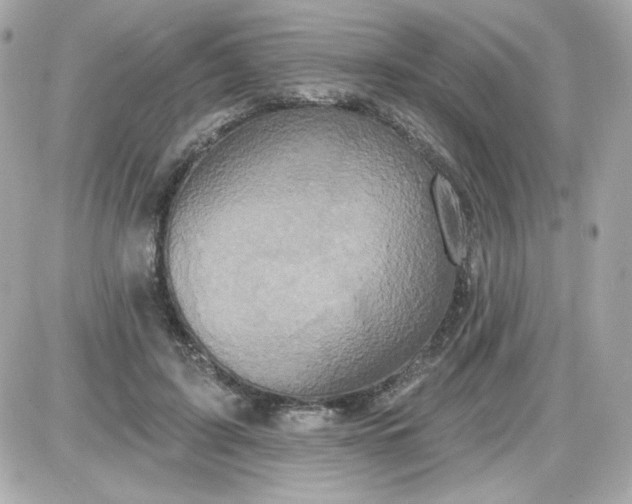 X0000087510595200705111943