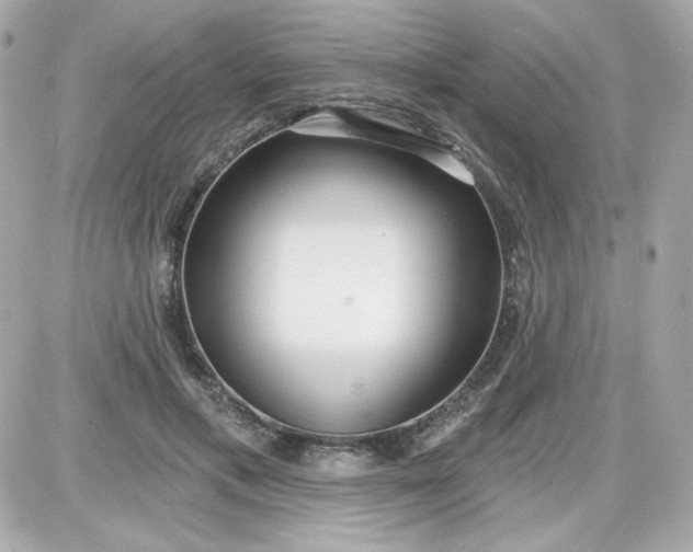 X0000087510597200705111943