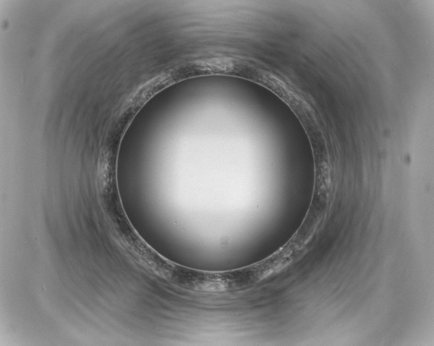 X0000087510600200705111943