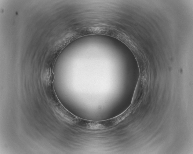 X0000087510605200705111943