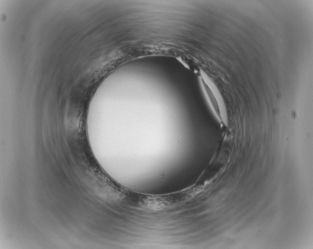 X0000087510608200705111943
