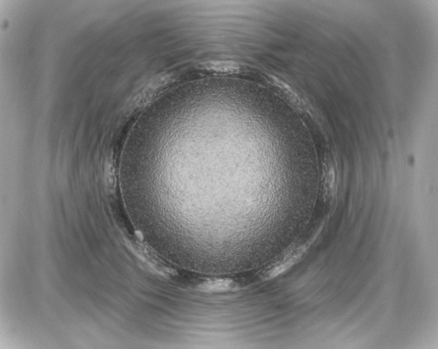 X0000087510609200705111943