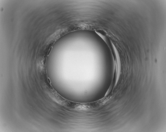 X0000087510611200705111943