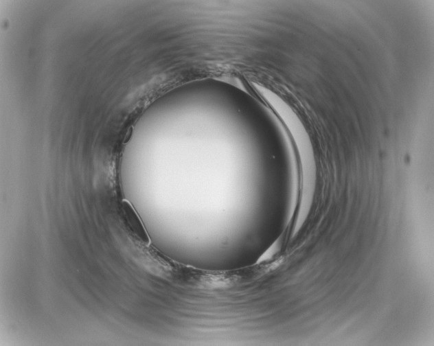X0000087510613200705111943