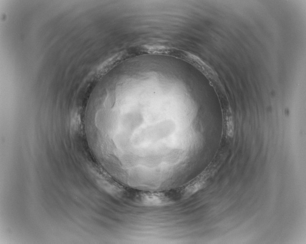 X0000087510618200705111943