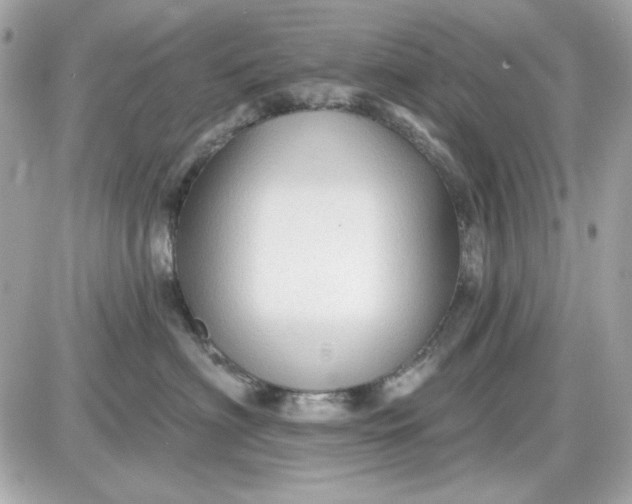 X0000087510622200705111943