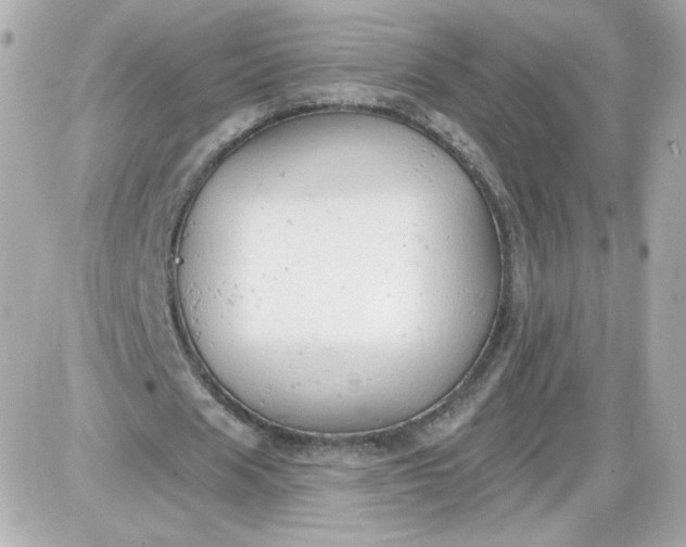 X0000087510625200705111942