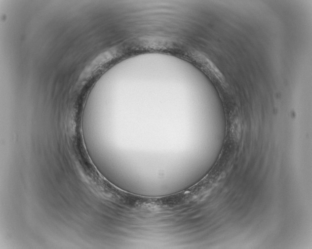 X0000087510635200705111942