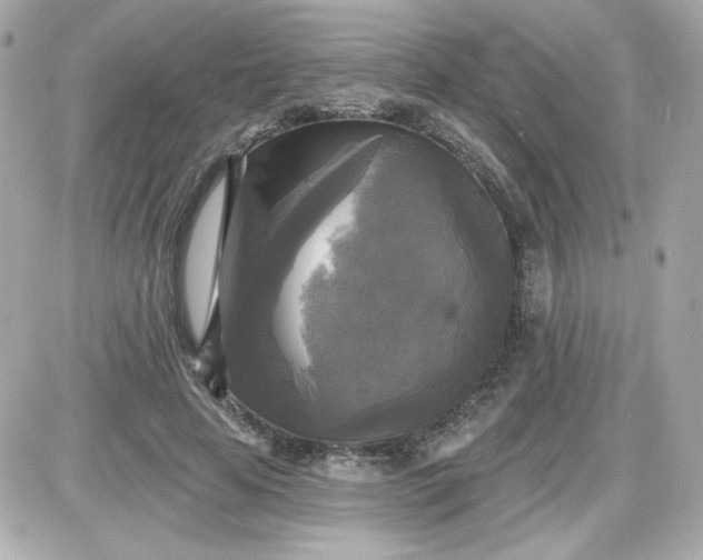 X0000087510641200705111942