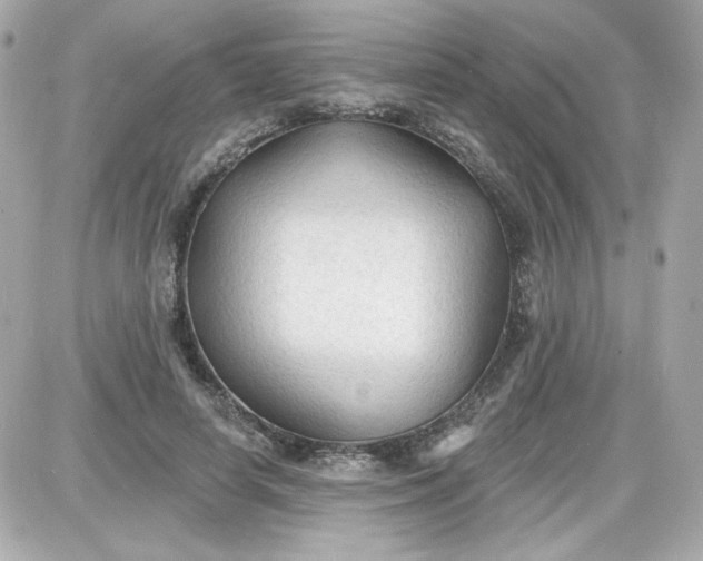 X0000087510642200705111942