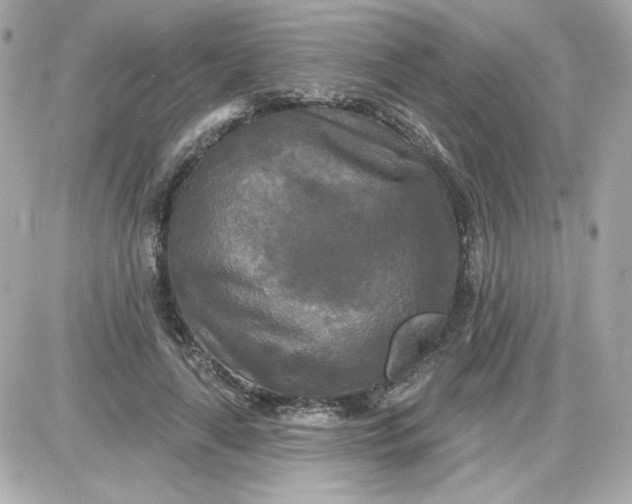 X0000087510643200705111942