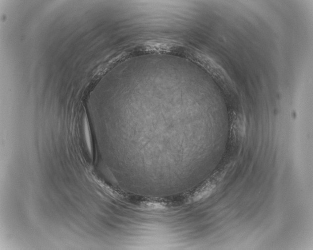 X0000087510649200705111942