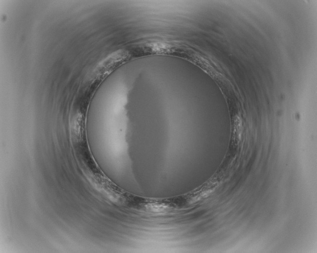 X0000087510650200705111942